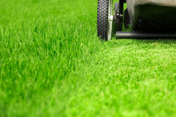 Grow your Weekly Lawn Care business