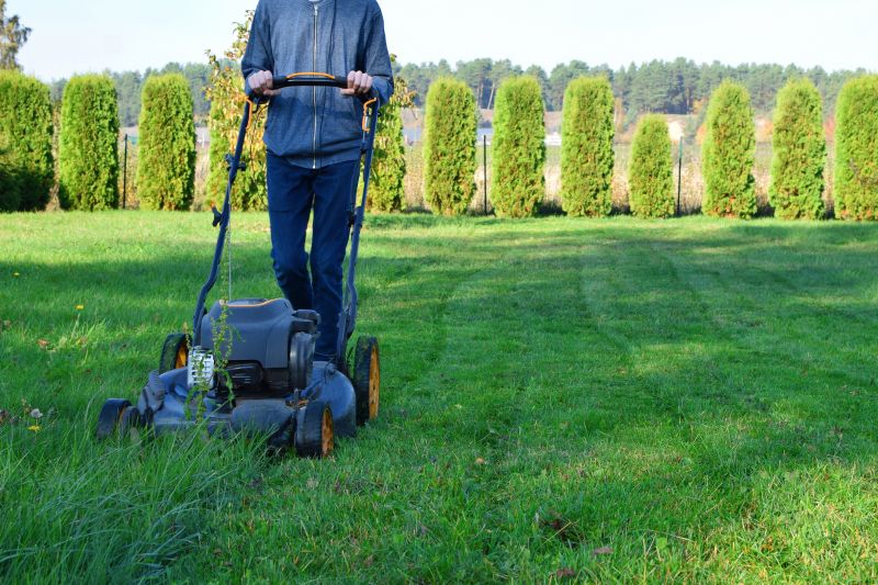 Weekly Lawn Care