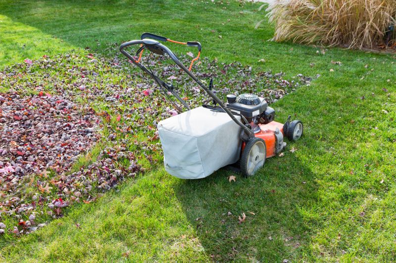 Seasonal Yard Maintenance
