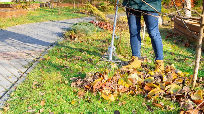 Leaf Raking and Removal