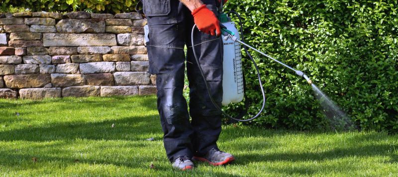 Lawn Spraying in Aiken, SC
