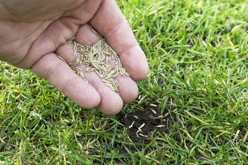 Reseeding Service in Honolulu, HI